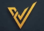 Consult Valix logo — Software Development & SEO Consulting in New York and Florida